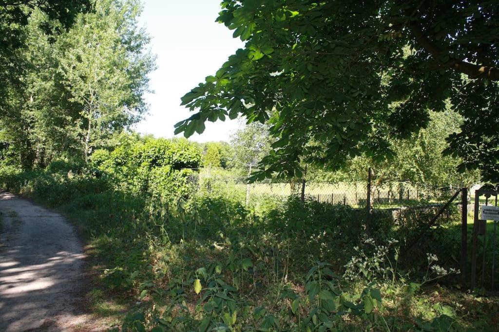 Villa De Bosrand Grenzend Aan Het Bos Castricum Esterno foto