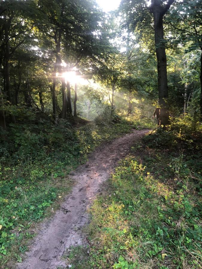 Villa De Bosrand Grenzend Aan Het Bos Castricum Esterno foto